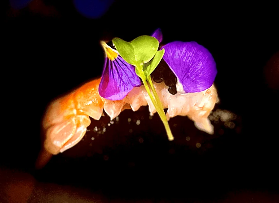 Gastronomie Bris'Art — Langoustine